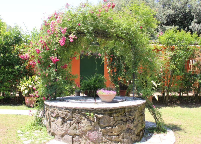 Domus Volumnia Roma BB e Room